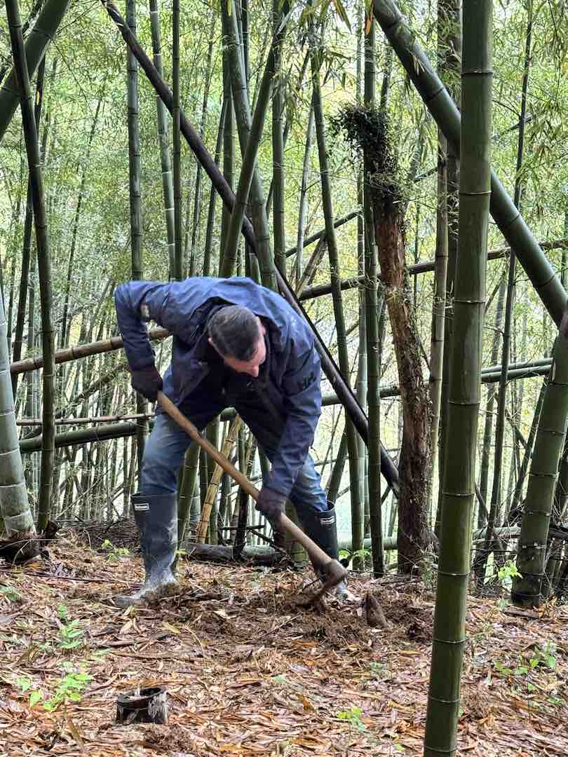 Digging Bamboo 1080p