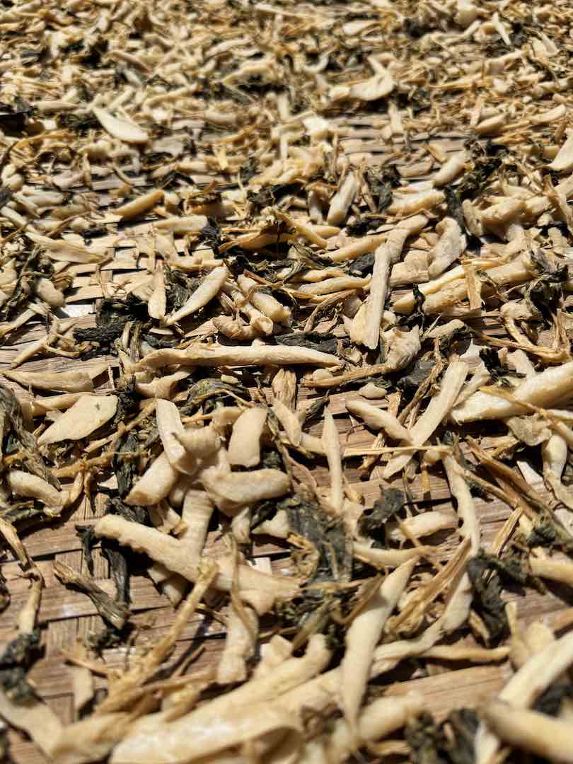 Digging Bamboo Drying 1080p